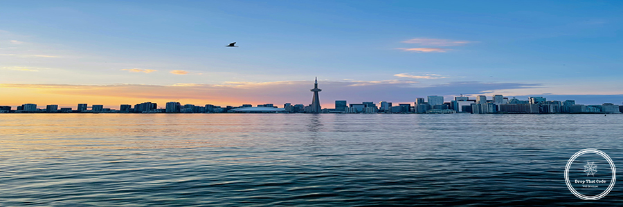 alireza-khoddam-tDp1cR3jBKM-unsplash alireza-khoddam-tDp1cR3jBKM-unsplash