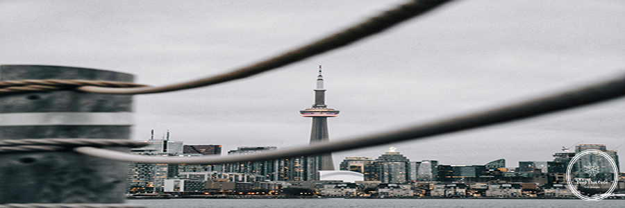 sam-XcZLkcnaX7c-unsplash sam-XcZLkcnaX7c-unsplash