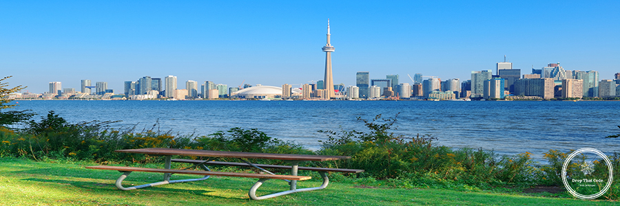 Toronto skyline from park Toronto skyline in the day over lake with urban architecture viewed from park