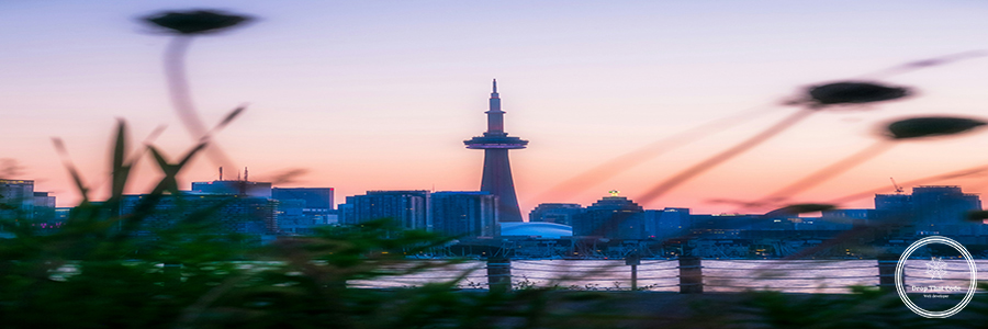 venrick-azcueta-Aq8K6DfQHvo-unsplash Custom Web Design Toronto