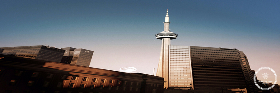 wade-gardner-CKtu7gnLDeA-unsplash website development companies toronto