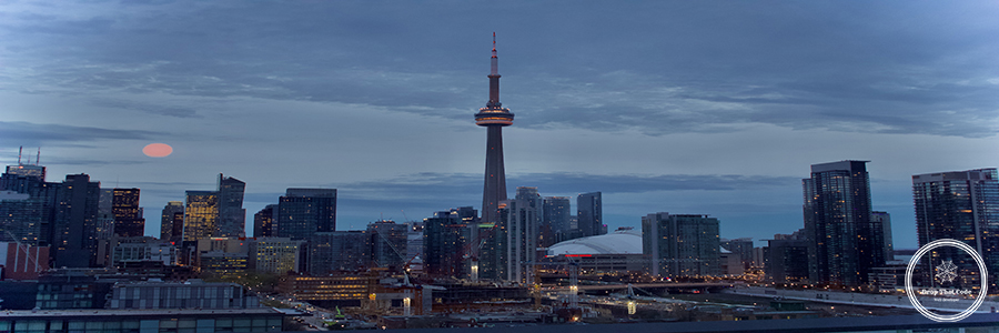 Wide shot of a building where workers are cleaning the walls and the windows professional website design toronto