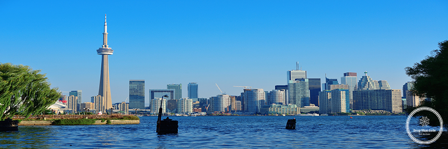 Toronto skyline from park Toronto skyline in the day over lake with urban architecture viewed from park